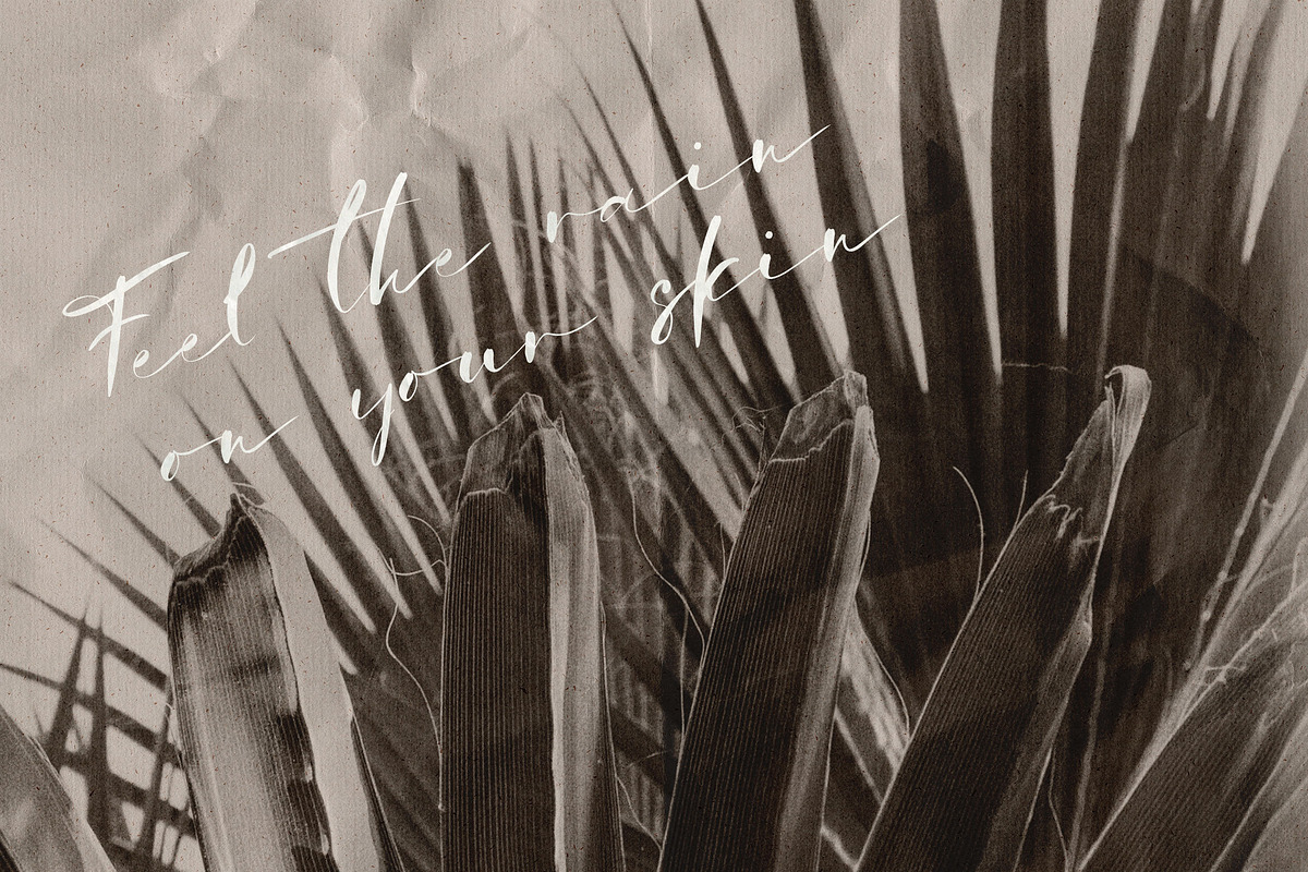Bay Area Font Family, a Script Font by Spasibenko Art (Photo 16 of 18)