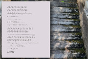 Moderna Script, a Script Font by Digital illustration shop (Thumbnail 3 of 8)