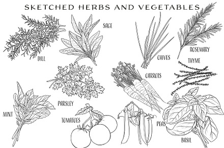 Sketched Herbs and Vegetables