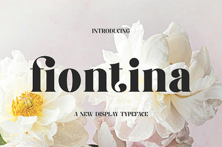 Fiontina A Display Typeface Font