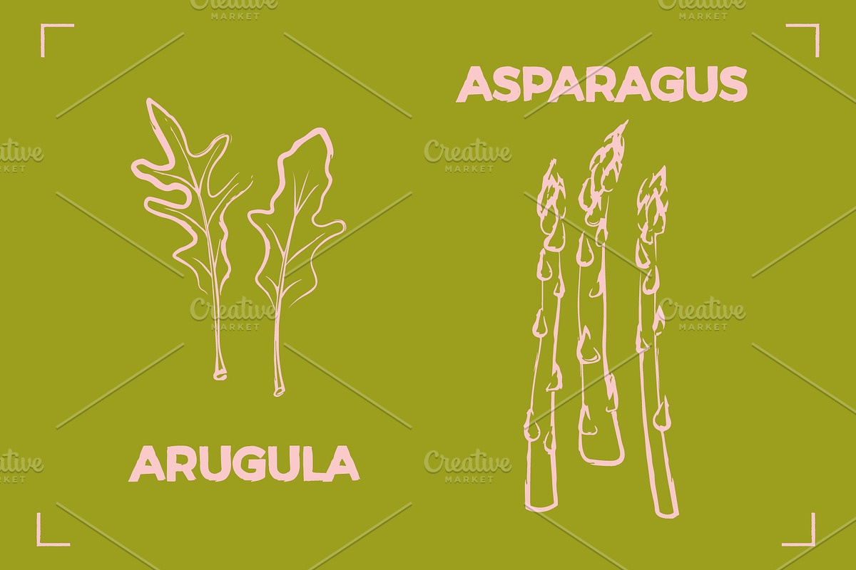 GREENS LINE ART SET (14 elements), a Food Illustration by Bonfloret Studio (Photo 3 of 8)