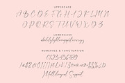 Nathalie Handwriting Script Signatur, a Handwritten Font by CreateBigSupply (Thumbnail 10 of 10)