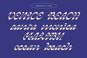 HEYDAY DISPLAY FONT, a Script Font by Tropical Type (Thumbnail 4 of 11)
