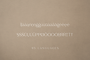 Salve - Elegant Serif + Cyrillic, a Serif Font by VP Fonts (Thumbnail 18 of 20)