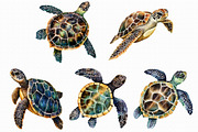 Watercolor Turtles Clipart, an Illustration by Libby Wishes (Thumbnail 2 of 3)