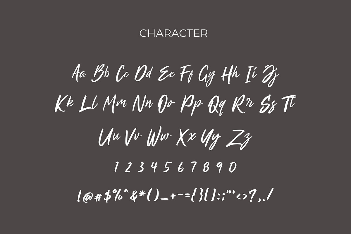 Winsho Brush Typeface preview 2