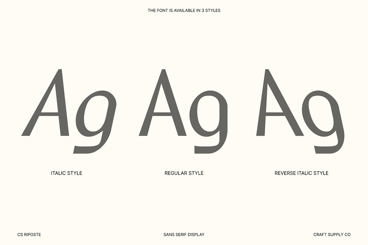 CS Riposte – Modern Sans Serif, a Sans Serif Font by Craft Supply Co. (Photo 4 of 8)