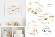 Watercolor Shrimp Life Cycle Set, an Education Illustration by MayaNavits (Thumbnail 3 of 7)