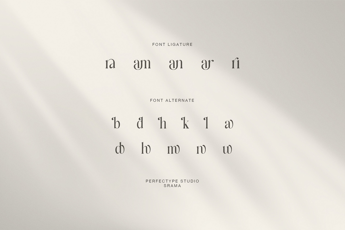 Srama Elegant Luxury Serif Font, a Serif Font by Perfectype (Photo 8 of 8)