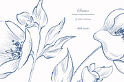 Baroque Vintage Ornamental set, a Decorative Illustration by Yuliia Lashevska (Thumbnail 7 of 19)