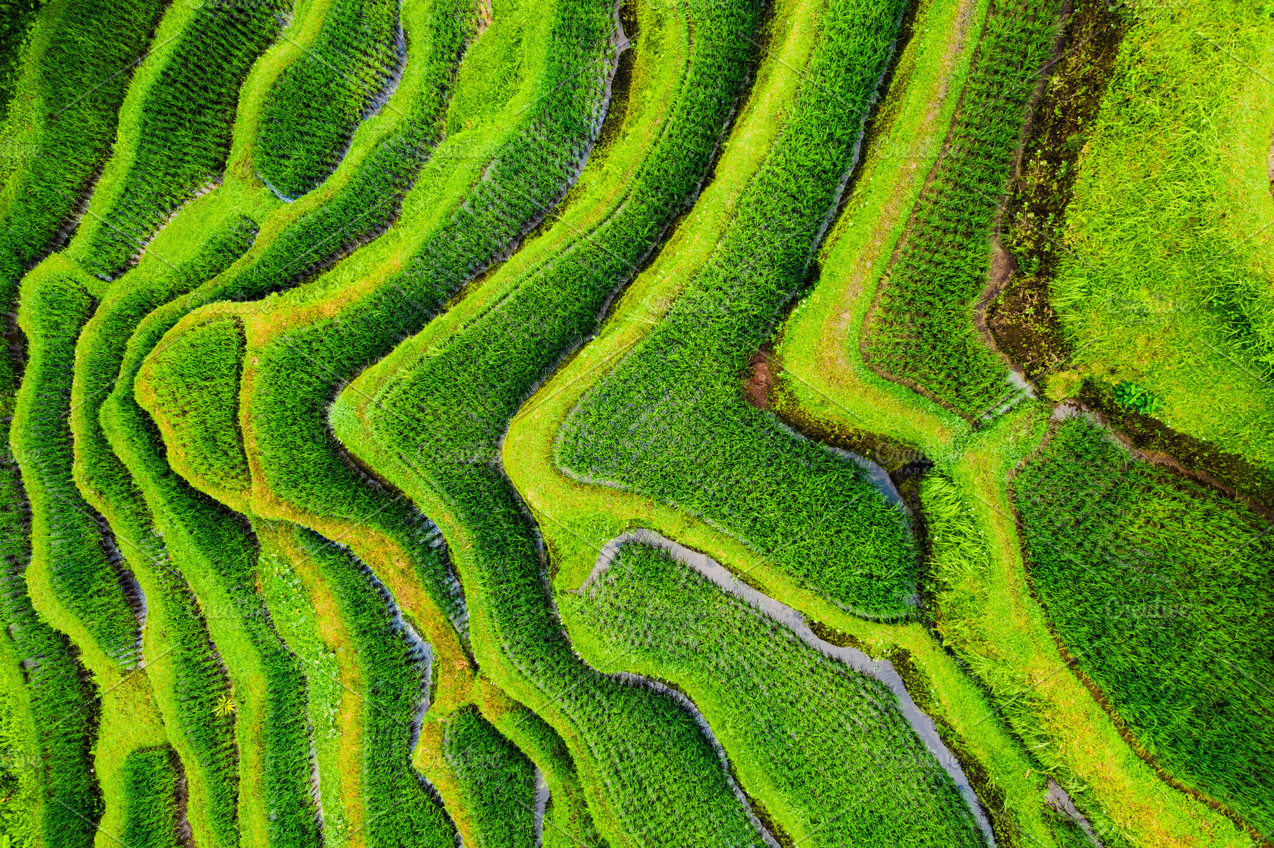 Bali, Indonesia. Aerial view, a Nature Photo by Landscape and travel