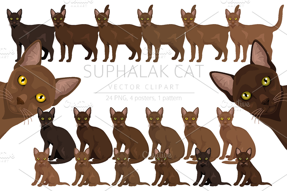 Suphalak cat clipart, an Animal Illustration by pet design shop (Photo 1 of 6)