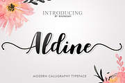 Aldine Script (20% off), a Script Font by khurasan (Thumbnail 1 of 8)