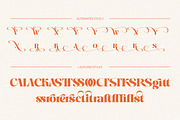 Wast Lovely Stylish Retro, a Serif Font by Eternity Studio (Thumbnail 8 of 10)