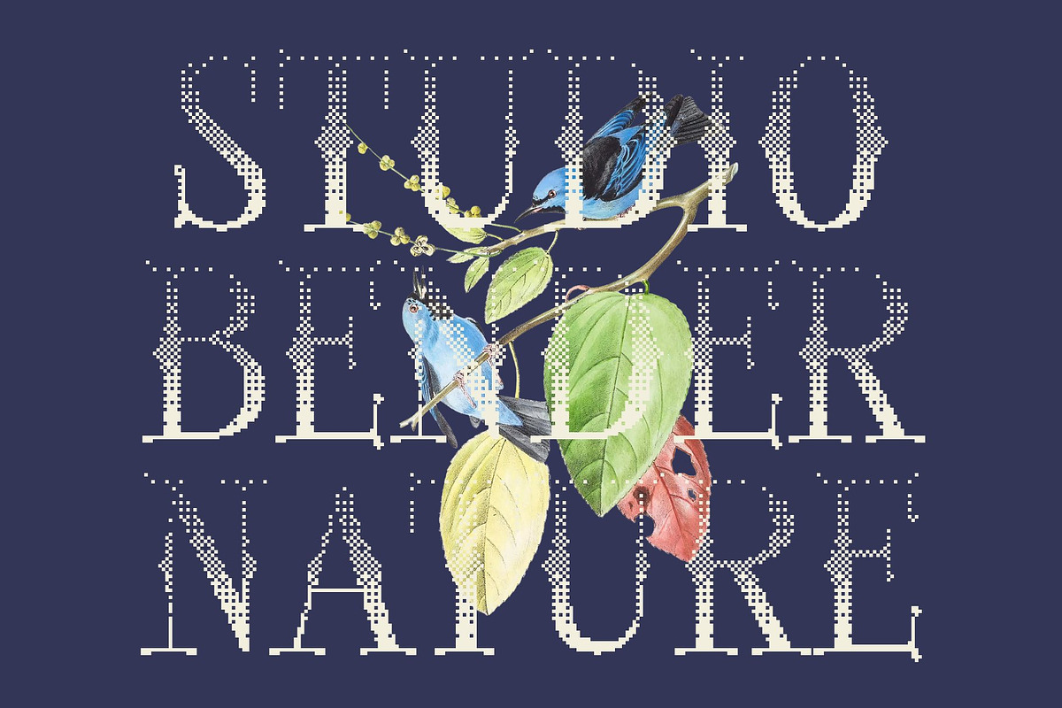 CS Greasy Halfpixel, a Serif Font by Craft Supply Co. (Photo 6 of 8)