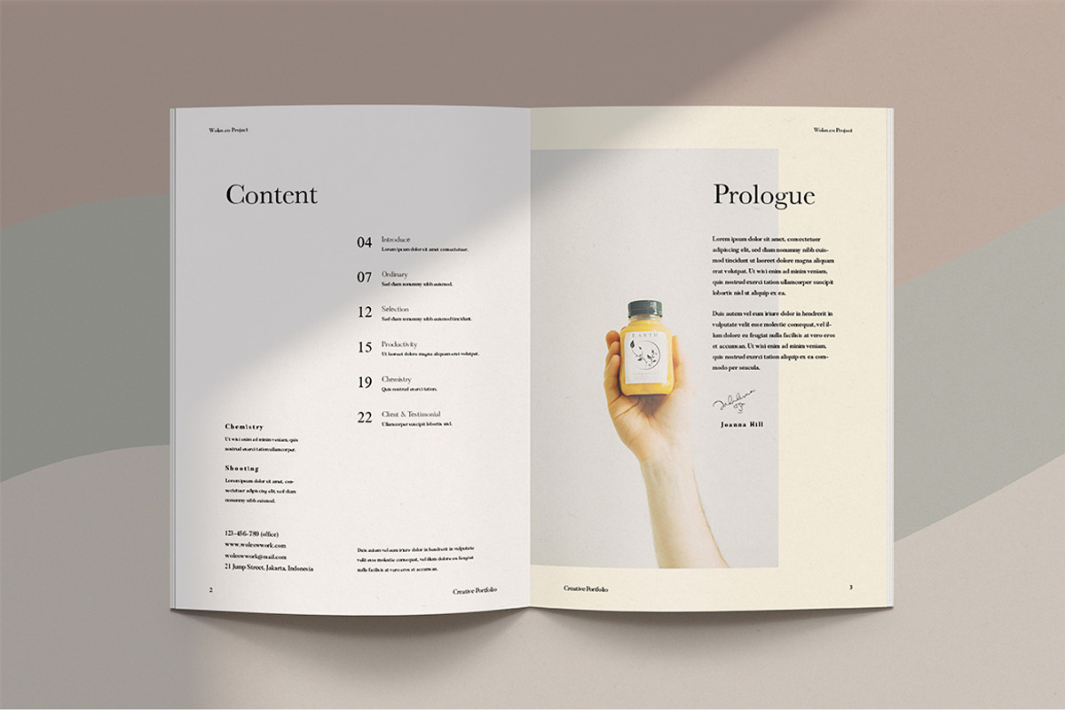 woles-brochure-template-creative-market