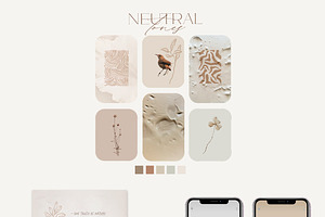 Neutral Abstract Background Cut Outs