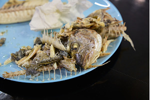 Delicious dorado fish served on a, a Food & Drink Photo by darksoul72