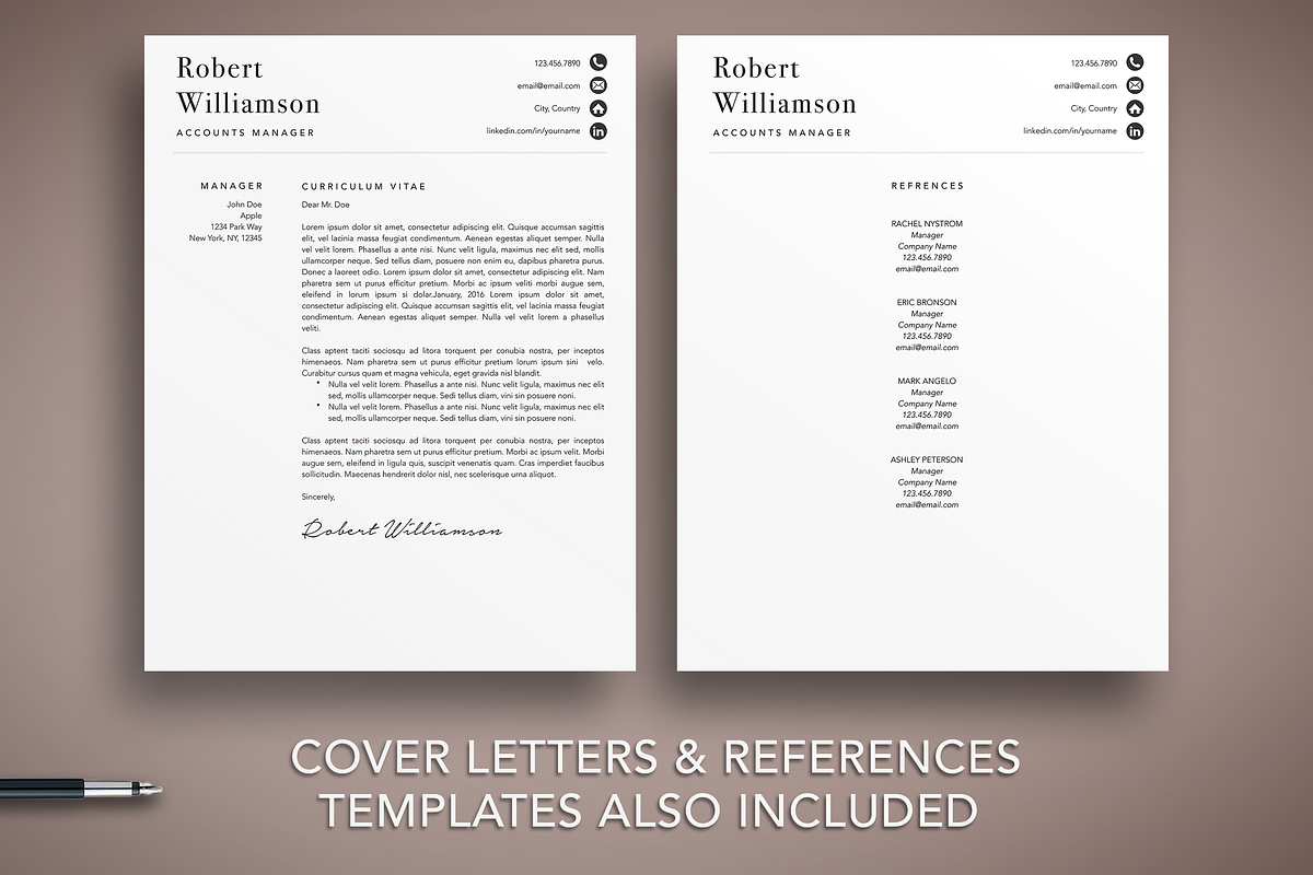Professional Resume Template, a Resume Template by The Creative Resume (Photo 4 of 8)