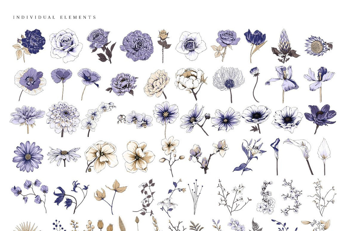 Beautiful Botanical Illustrations, an Object Graphic by Pretty Little Lines (Photo 15 of 18)
