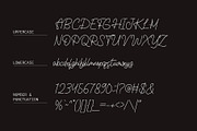 Melfianita - Monoline Script Font, a Script Font by Aksapix Studio (Thumbnail 6 of 10)