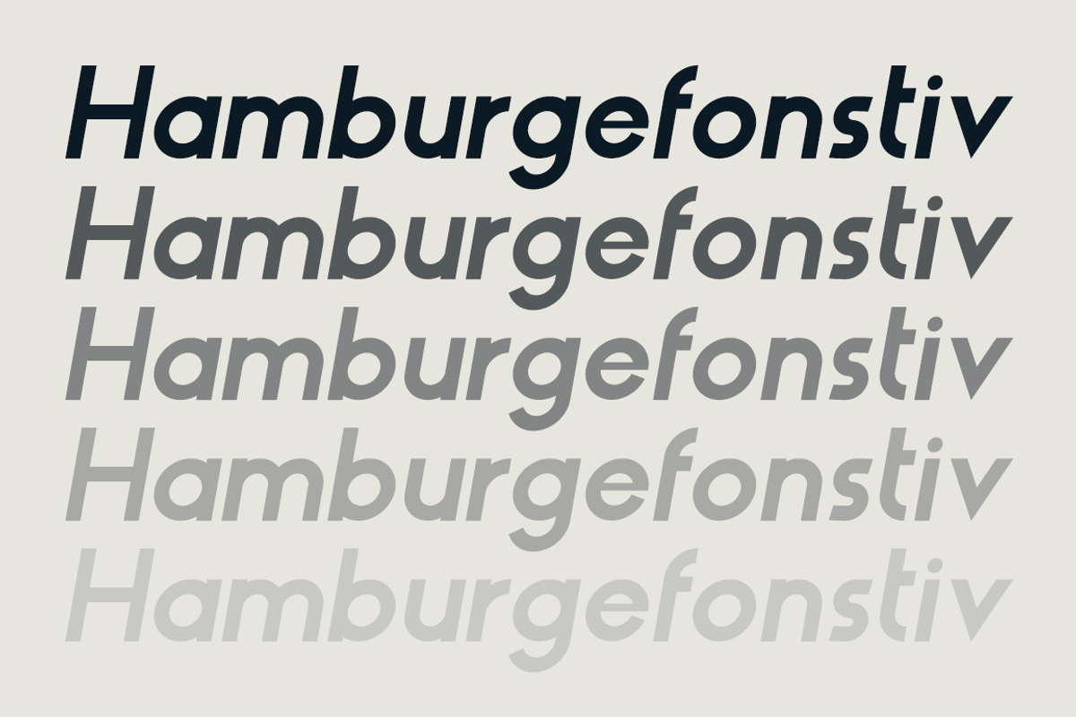 HAUS Sans Bold preview 3
