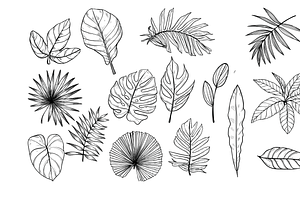 Tropical Leaves Handdrawn Collection