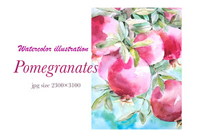 Pomegranate watercolor illustration