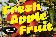 Briska - Script & Regular, a Script Font by Genetype (Thumbnail 4 of 9)