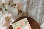 SPRING BOX Watercolor Bundle 400+, a Decorative Illustration by Muse Artist (Thumbnail 85 of 99)