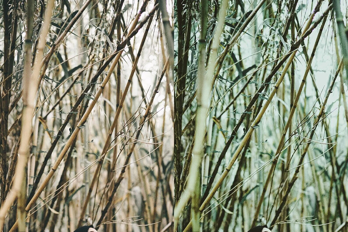 10 Vintage Avocado Lightroom Presets, a Preset Add-On by LucaTheme (Photo 4 of 7)