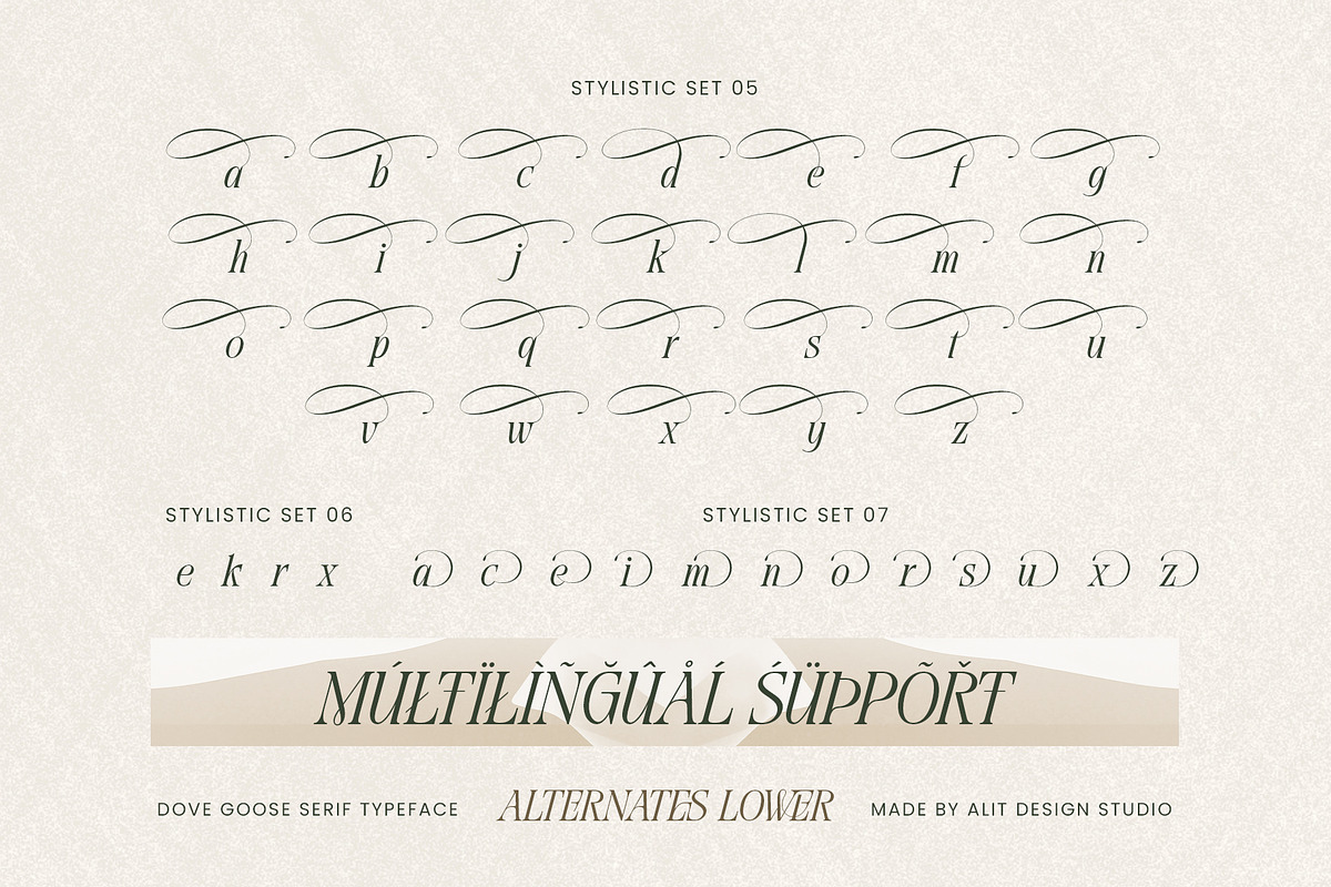 Dove and Goose Typeface, a Serif Font by alit design (Photo 14 of 20)