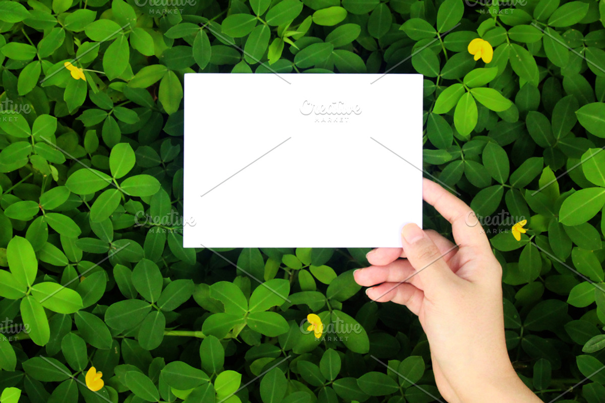 Greenery Mockup, Styled Stock Photo, a Product Mockup by littleprince (Photo 1 of 3)
