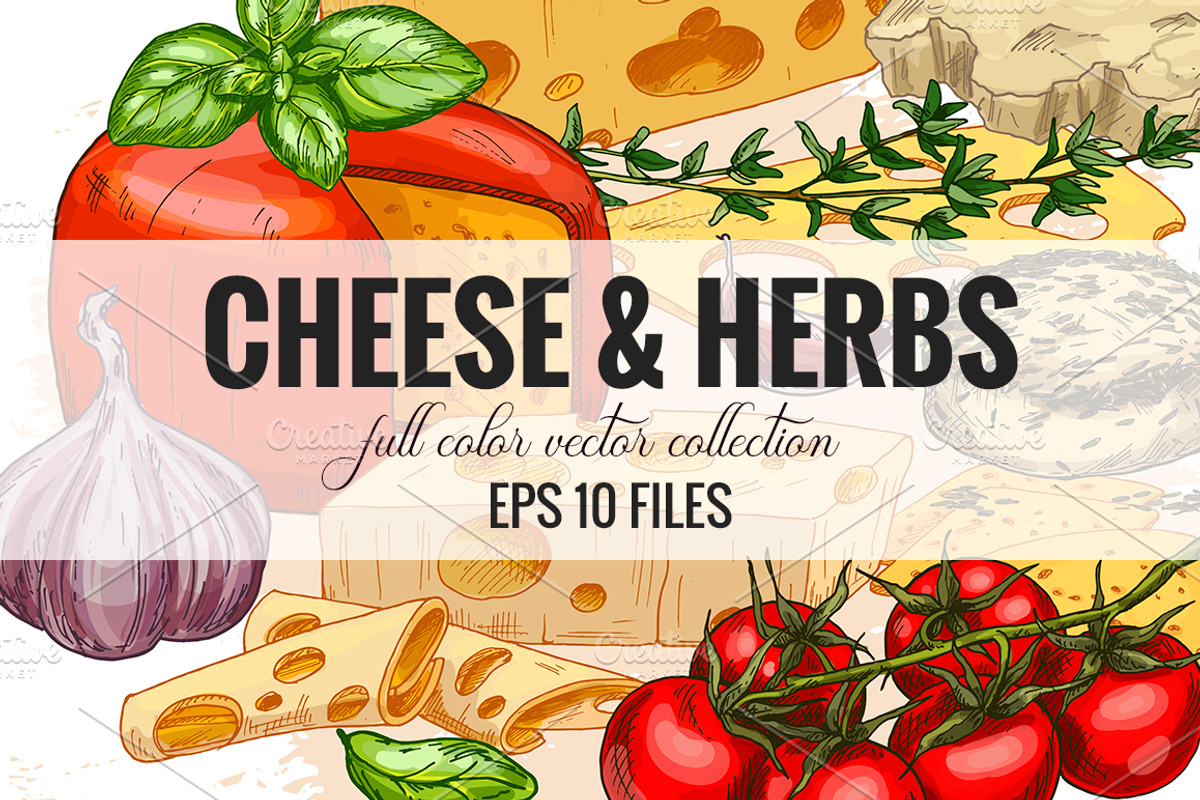 Cheese. Vector collection., an Object Graphic by JSolomatina (Photo 1 of 5)