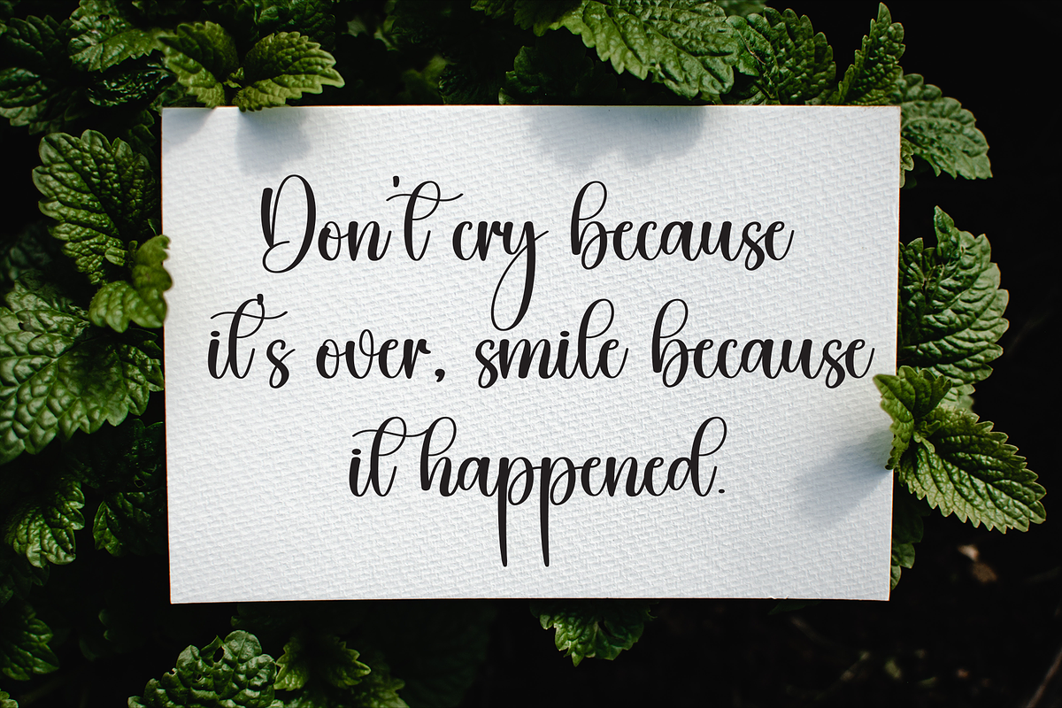 Starkly | Script Font, a Handwritten Font by Scratchones (Photo 3 of 9)