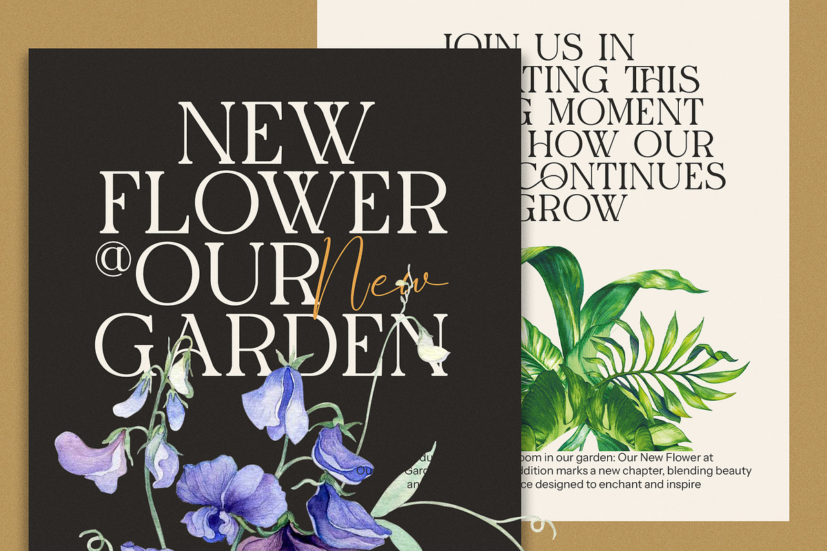 The Higlas Elegant Serif Font, a Serif Font by Graphicxell (Photo 5 of 8)