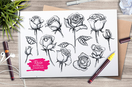 Hand Drawn Roses. Vintage set.