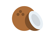 Coconut Flat Icon, a Duotone Icon by Pexelpy (Thumbnail 2 of 2)