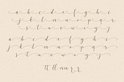 Melodice, a Script Font by RT Studio (Thumbnail 9 of 10)
