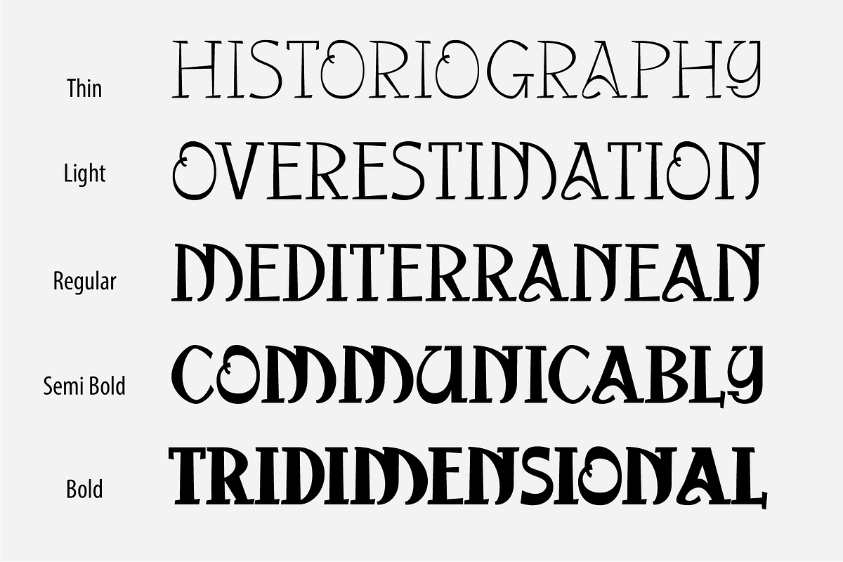 Kanwang Wild Serif, a Serif Font by PeanutButter Type (Photo 5 of 6)