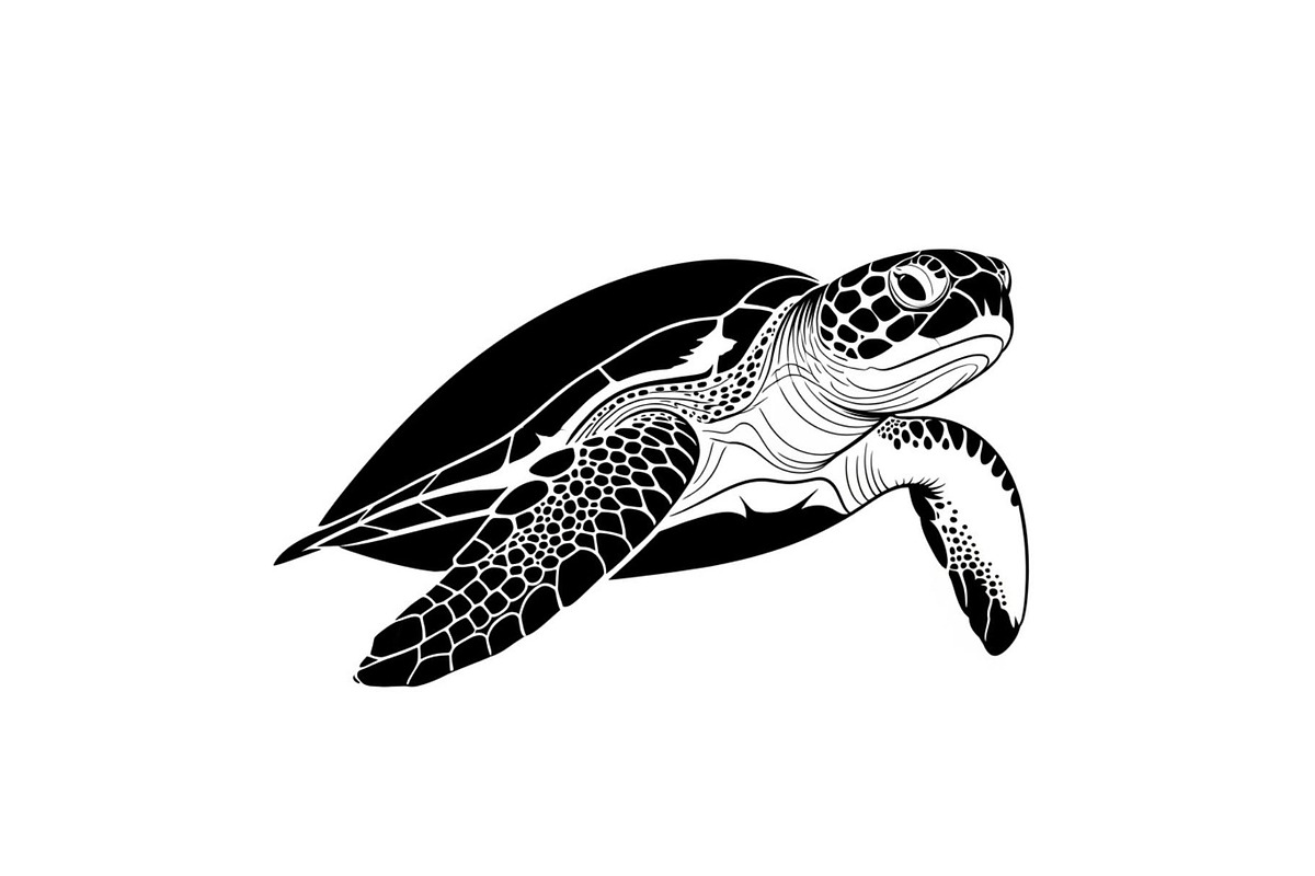 50 Sea Turtle Vector Silhouette Bund, an Illustration by jahid234 (Photo 29 of 51)