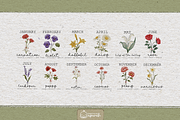 Flower Birth Month with Text Meaning, a Decorative Illustration by creationsbyapuruh (Thumbnail 2 of 10)