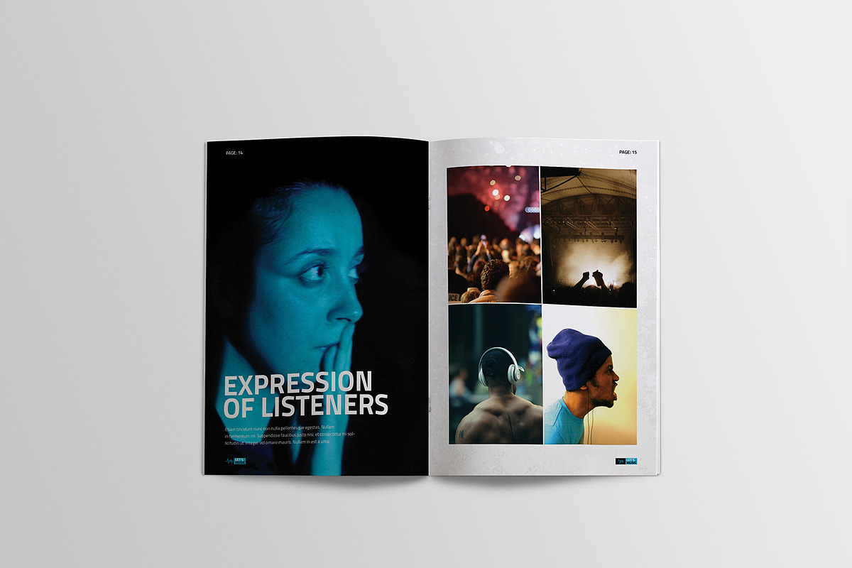 Music Festival Brochure+Ticket, a Brochure Template by SmmrDesign (Photo 13 of 20)