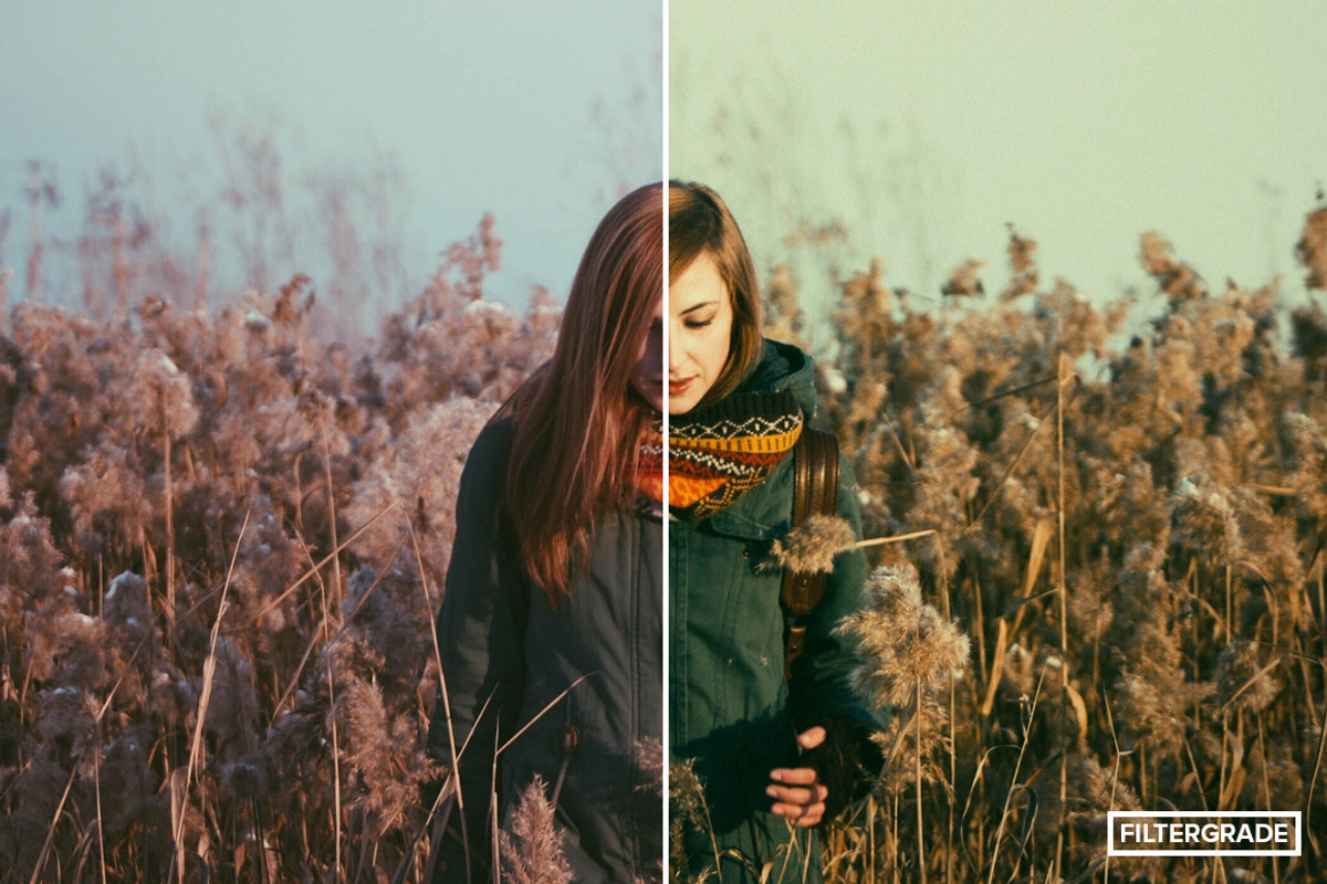 RetroTone Vintage Lightroom Presets, an Action Add-On by FilterGrade (Photo 2 of 10)