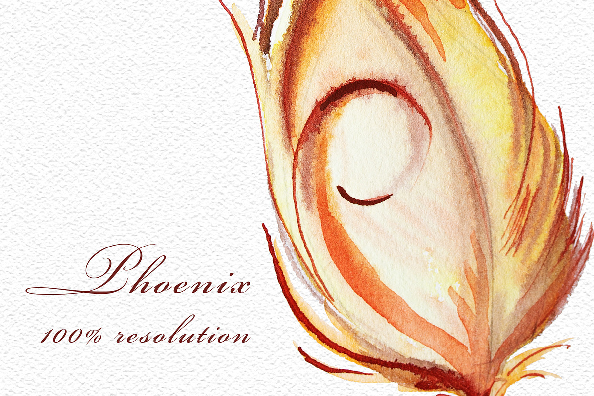 Watercolor Phoenix Clipart Set, an Animal Illustration by ArtCreationsDesign (Photo 5 of 6)