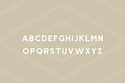 Salmon - Modern Sans Serif, a Sans Serif Font by Creative Type (Thumbnail 2 of 8)