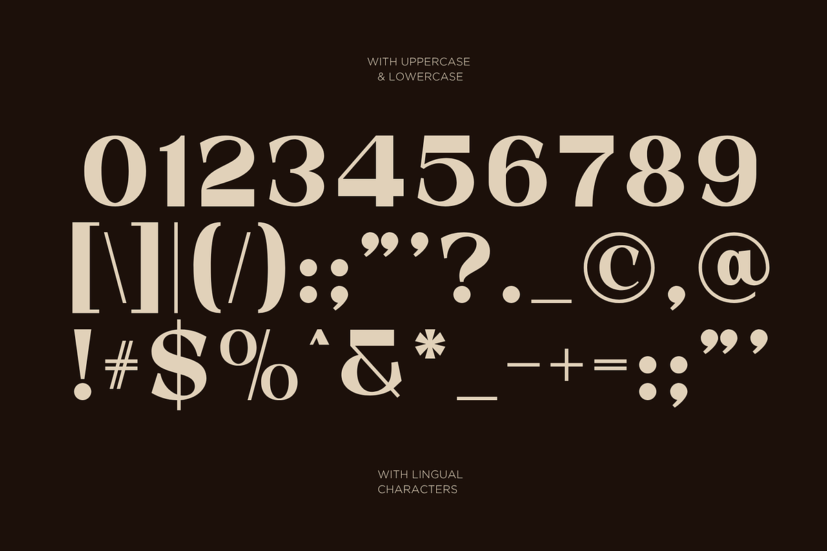 Quishe – Modern Elegant Serif, a Serif Font by MaikoHatta (Photo 6 of 8)