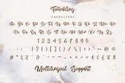 Twinkling - Modern Script Font, a Script Font by Alpaprana (Thumbnail 8 of 9)