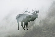 Wild Animals of North America, an Icon by Calvin Weibel (Thumbnail 5 of 6)