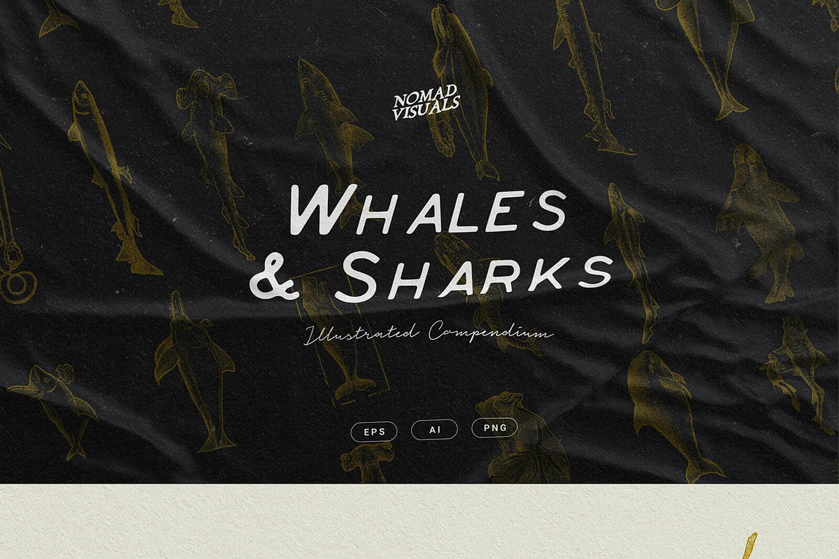 The Vintage Bundle, an Object Graphic by Nomad Visuals (Photo 25 of 45)